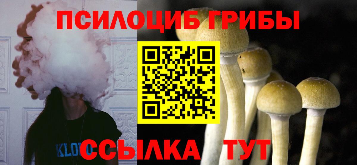 Псилоцибиновые грибы Cubensis Острогожск