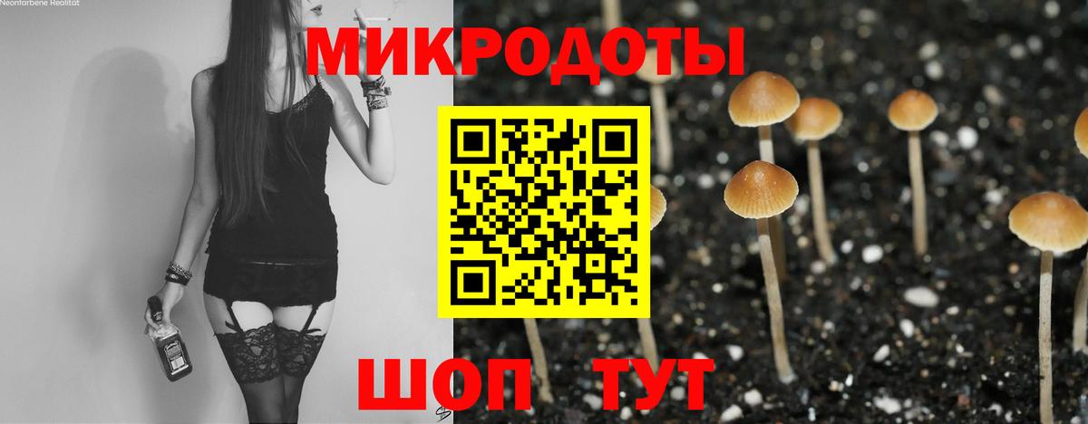 как найти закладки  Псилоцибиновые грибы Magic Shrooms  Острогожск  Вход с VPN  Псилоцибиновые грибы Psilocybine cubensis 